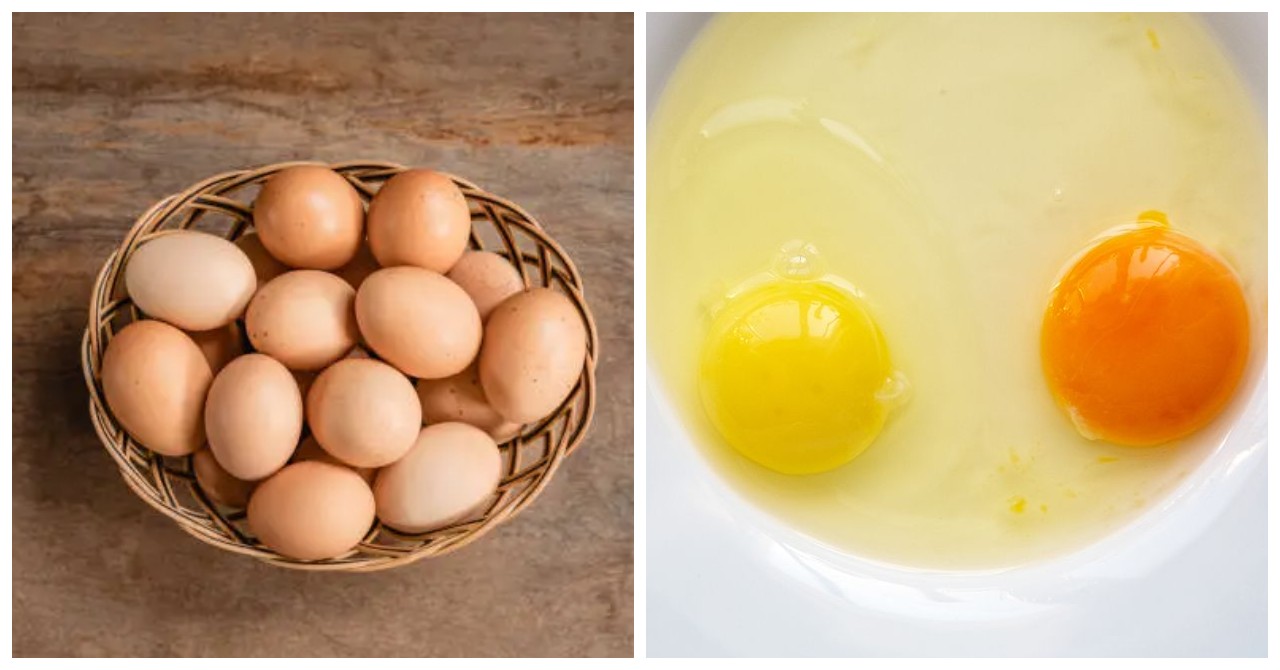 Ini Perbedaan Telur Omega-3 dan Telur Biasa