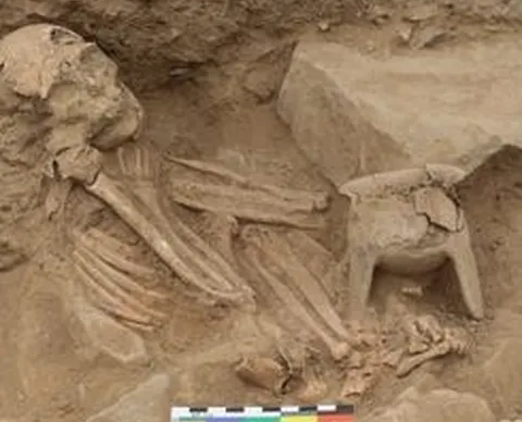 Penemuan Arkeologis di Inner Mongolia, Cangkang Naga yang Mengungkap Sejarah Budaya Hongshan