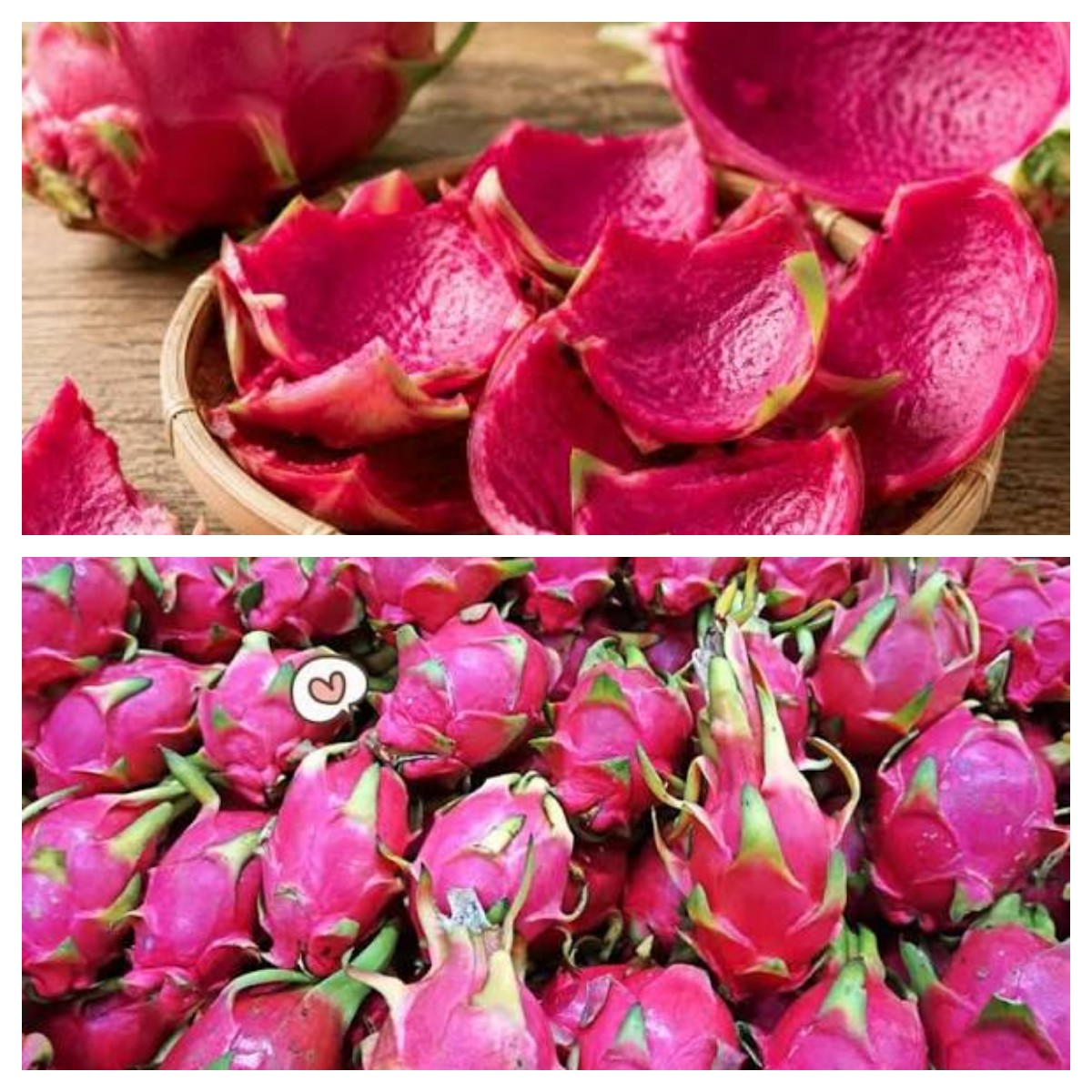 Mengenal Berbagai Manfaat Kulit Buah Naga yang Belum Banyak Orang Tahu
