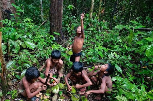 Mengenal 4 Suku Asli Dari Provinsi Jambi, Apakah Benar Ada Suku Keturunan Minangkabau Dan Sriwijaya?