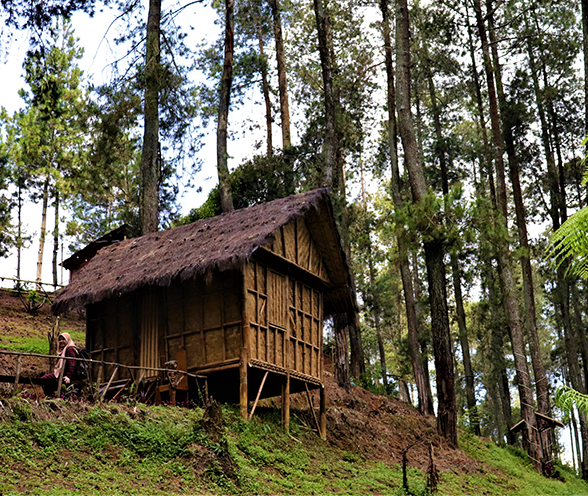 Daya Tarik Wisata Gunung Sunda, Pesona Alam yang Menawarkan Ketenagan di Dataran Tinggi Pulau Jawa
