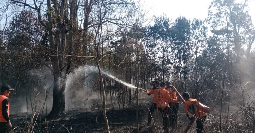 3 Hektar Lahan di Pagar Alam Hangus Dilalap Api