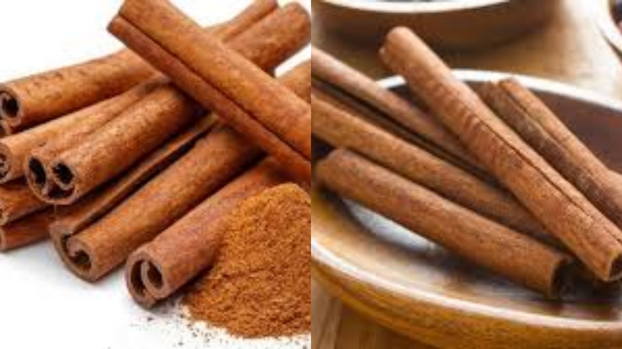 Inilah 10 Manfaat Kayu Manis untuk Kesehatan Wajib Kalian Tahu!