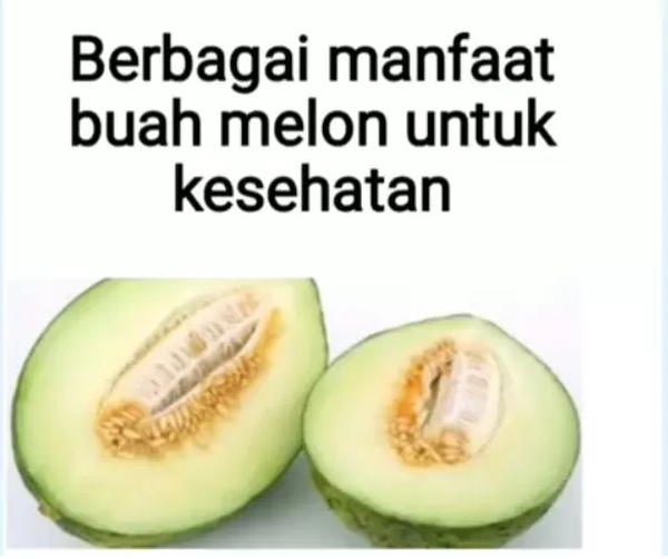 Ingin Tubuh Sehat? Konsumsi Buah Melon Sekarang Juga!