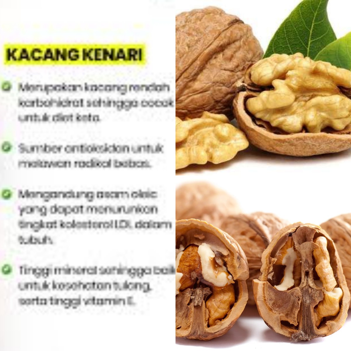 Sudah Tahu Manfaat Luar Biasa Kacang Kenari untuk Kesehatan? Yuk, Cek!