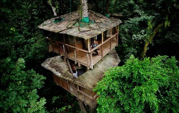 Netizen Dibikin Kepo, Keberadaan Istana Kuno di Hutan Jati