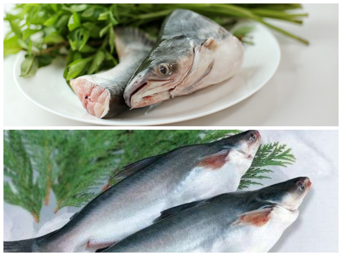  Ikan Patin: Sumber Protein Lezat dengan Segudang Khasiat Kesehatan