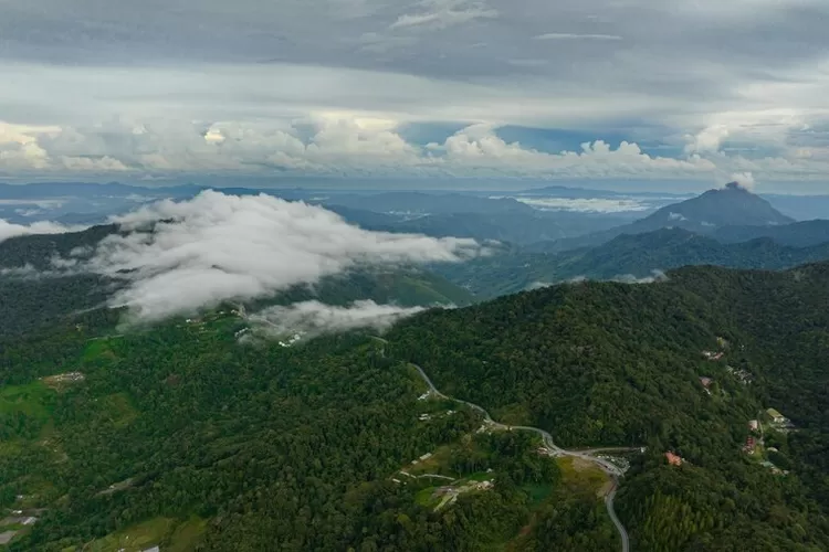 Mistis di Pulau Kalimantan, Suku Penjaga Hutan atau Dedemit Hutan?