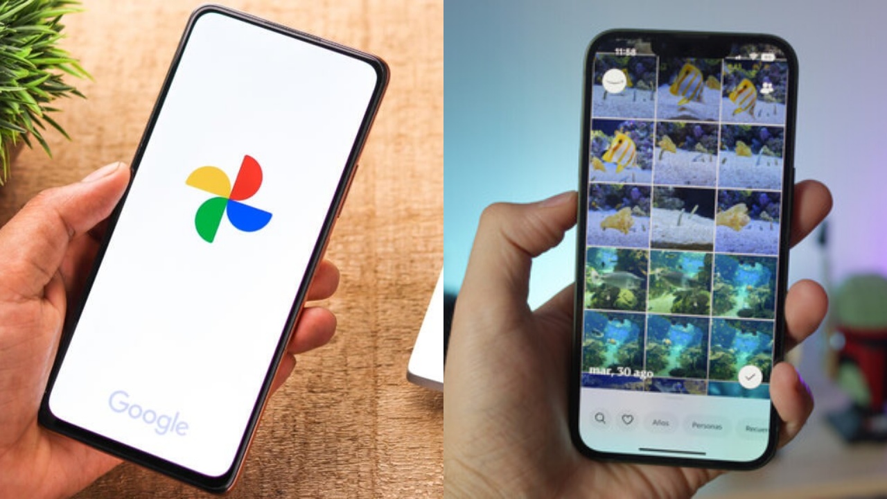 Apa Saja Fitur Google Photos Berbasis AI yang Punya Banyak Keunggulan? Temukan Jawabannya!