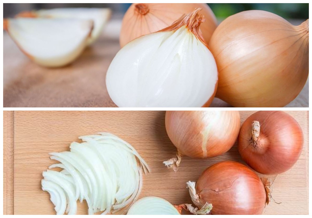 Rahasia Sehat dari Dapur: Manfaat Bawang Bombay untuk Kesehatan Tubuh!