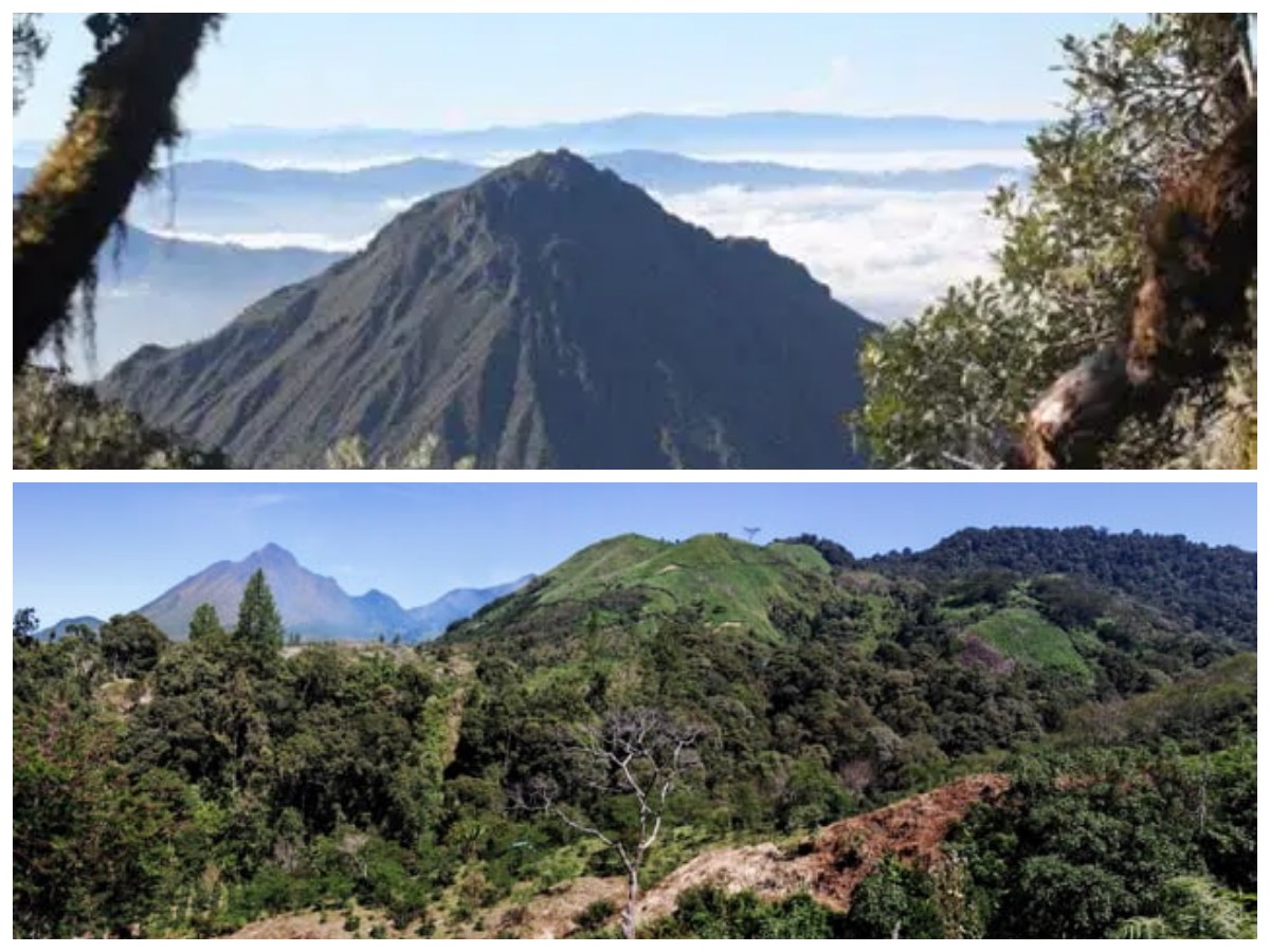 Gunung Geureudong: Saksi Bisu Sejarah Alam, Mitos, dan Tradisi Masyarakat Aceh