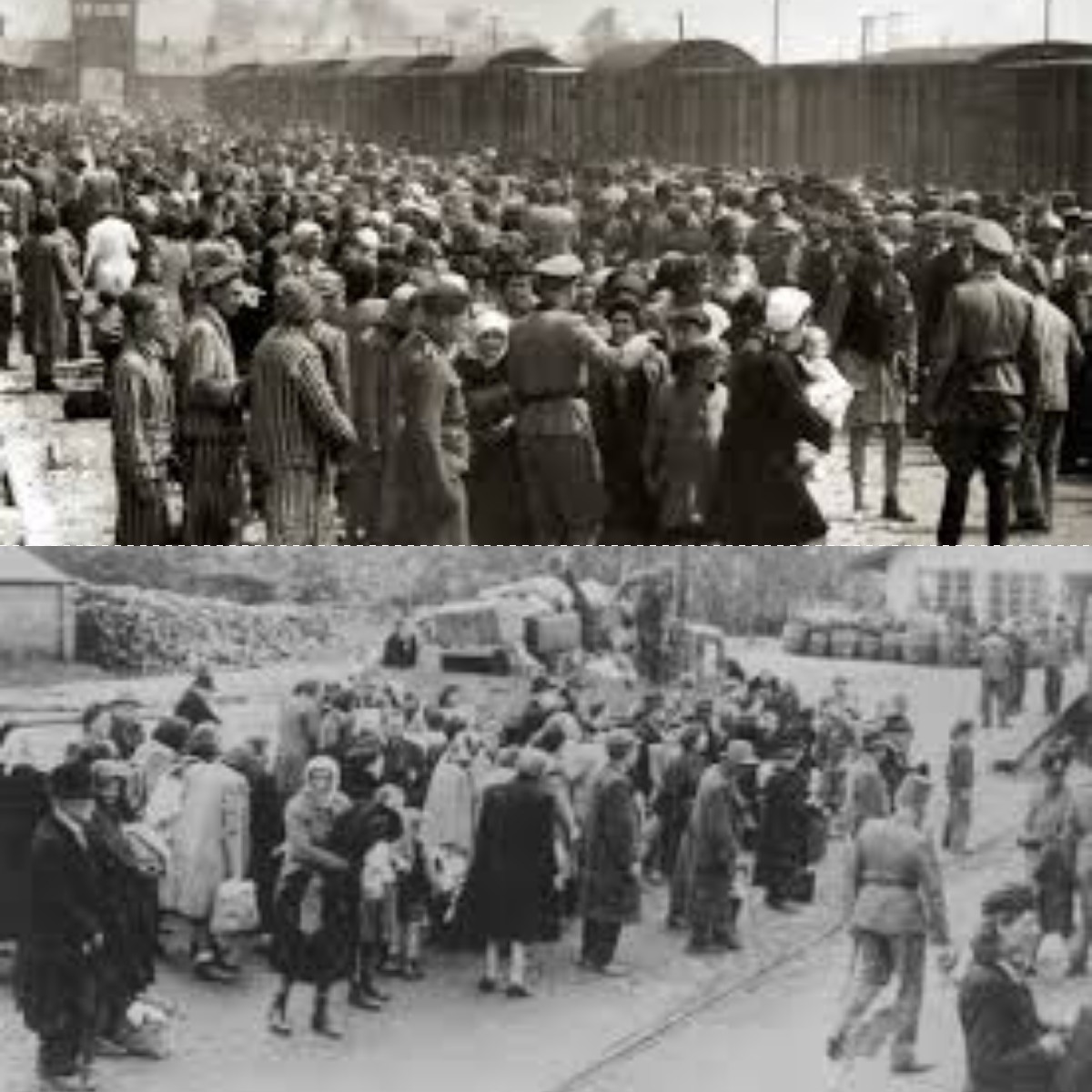 Genosida Tercepat Abad Ini Ketika Dunia Diam Saat Rwanda Berdarah