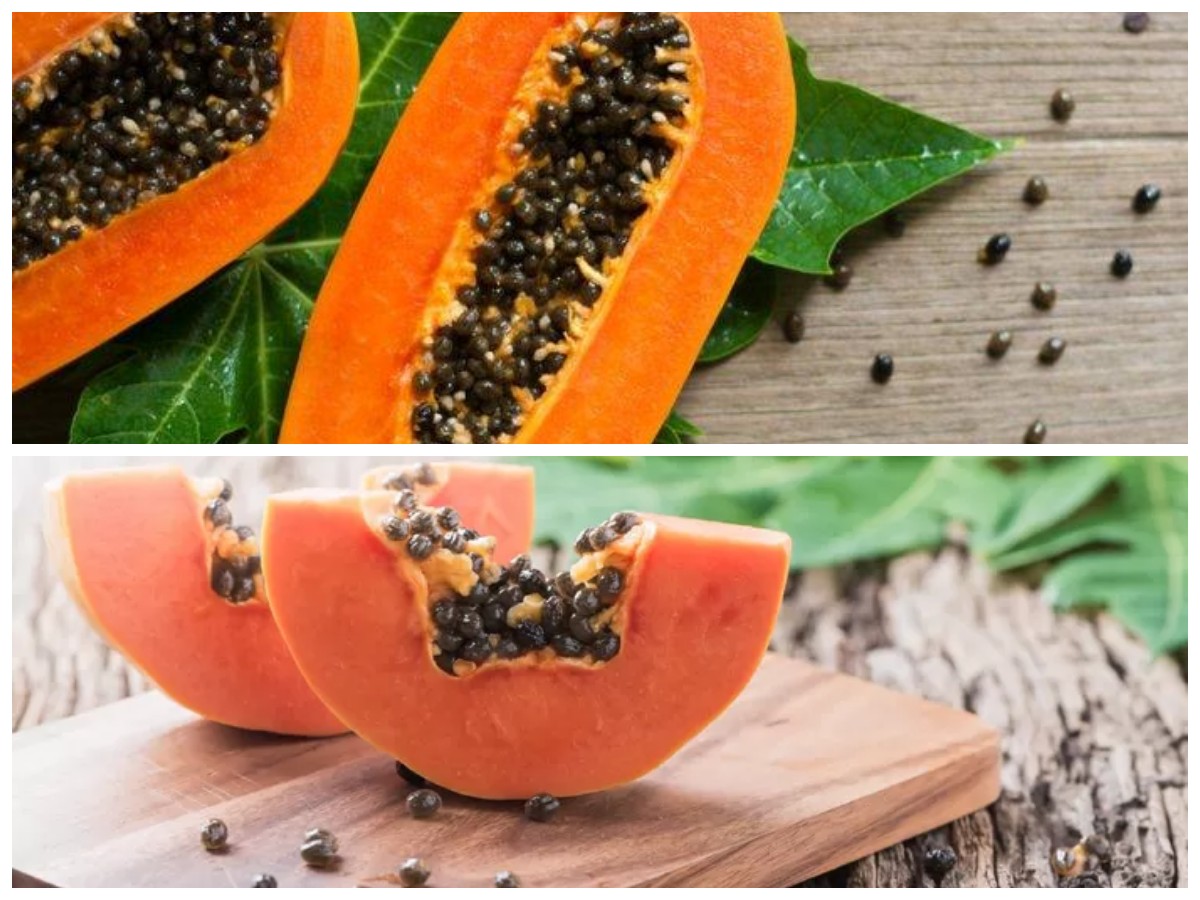 Jangan Dibuang! Ini Segudang Khasiat Biji Pepaya yang Jarang Diketahui