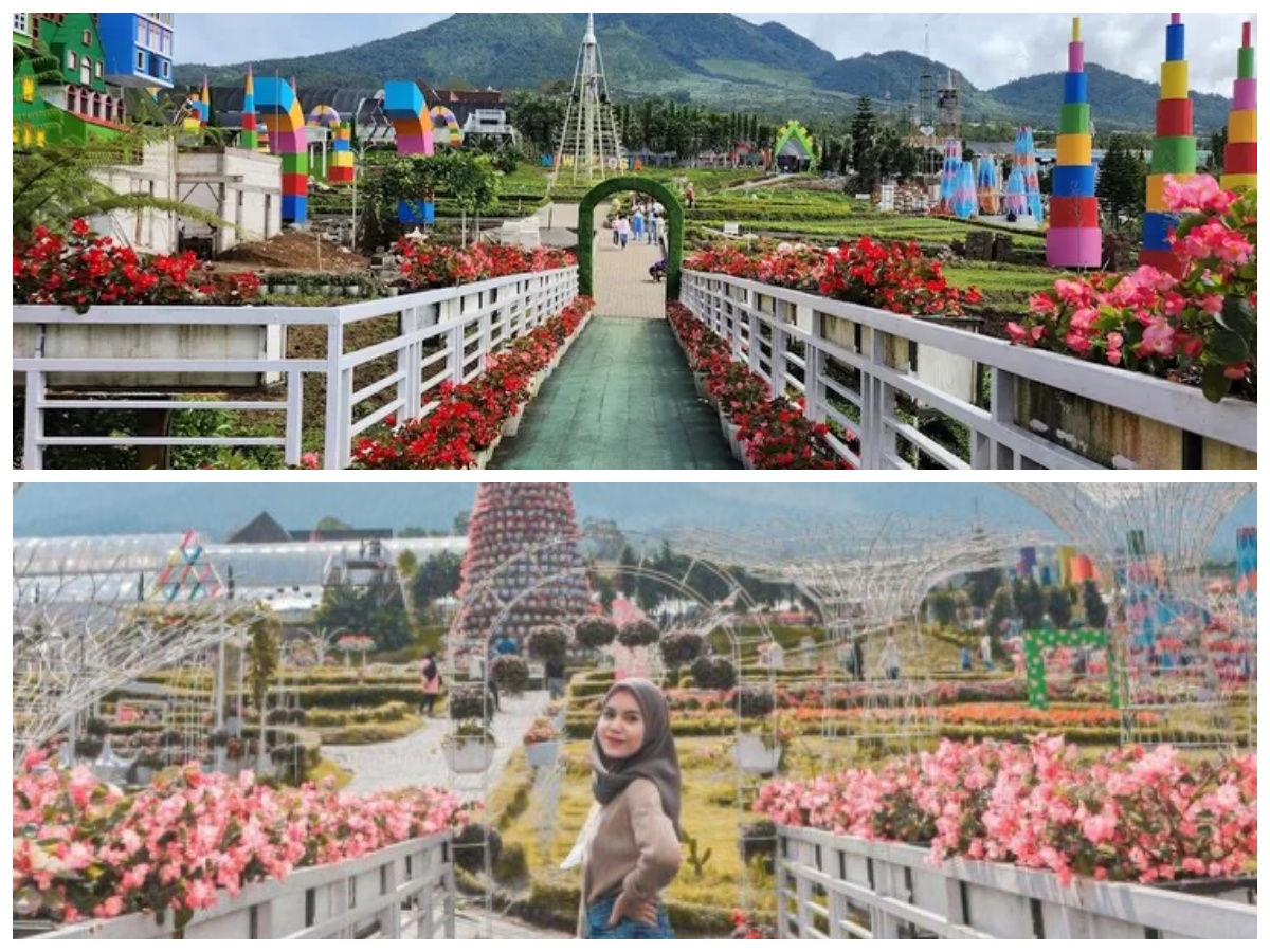 Taman Bunga Celosia, Wisata Romantis yang Murah Meriah dan Instagramable!