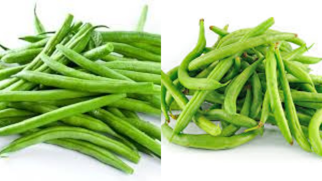 Yuk Intip! 8 Manfaat Buncis Yang Tidak Kalah Baik Dari Sayuran Lainnya