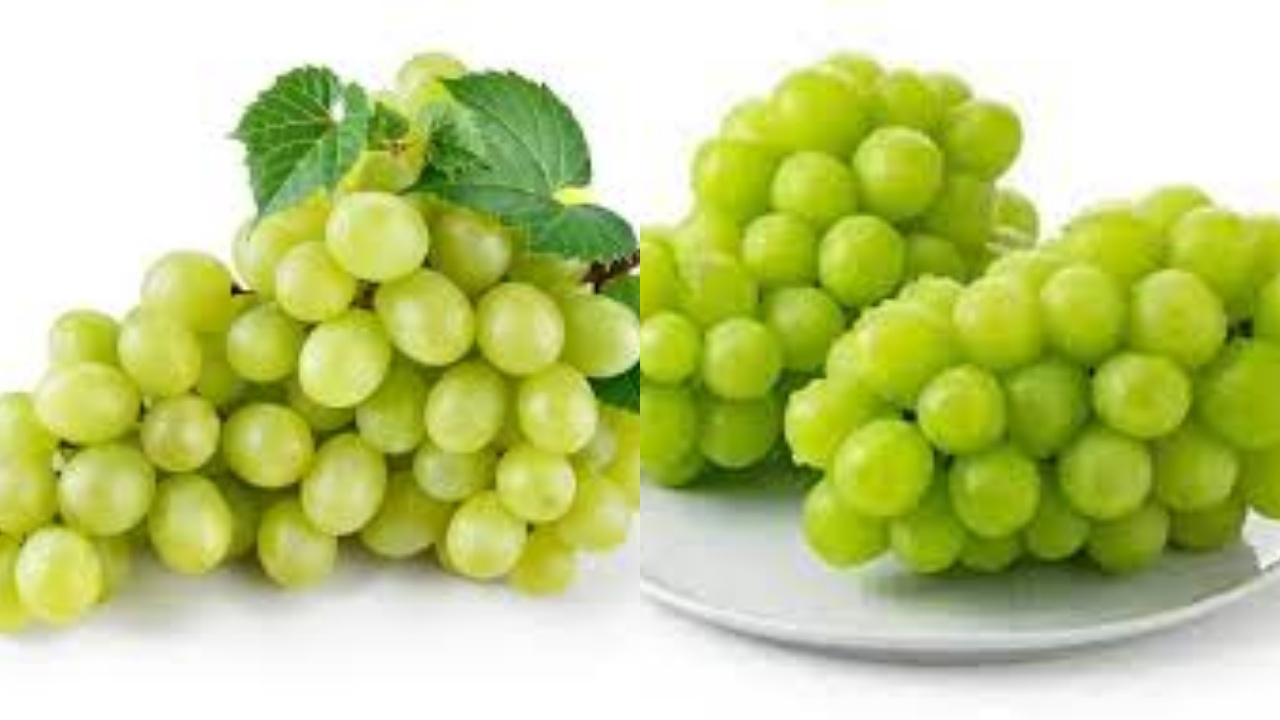 Wajib Kalian Tahu Inilah 9 Manfaat Buah Anggur Bagi Kesehatan!
