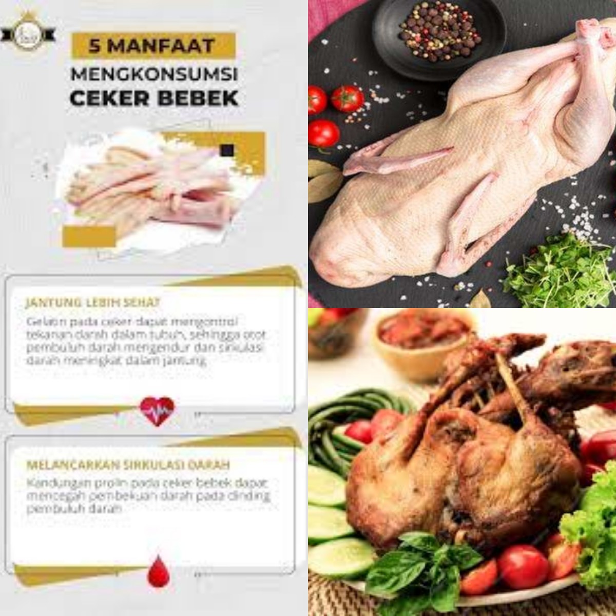 Sudahkah Anda Mengetahui 5 Manfaat Daging Bebek untuk Kesehatan Darah?!