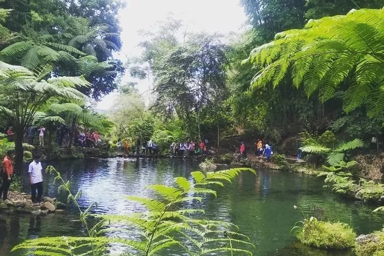 Sinergi Antar Pemangku Kepentingan Industri Pariwisata Dorong Perkembangan Perekonomian Kota Pagalaram