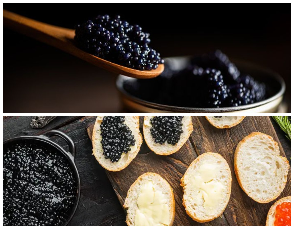 Manfaat Kesehatan Tersembunyi di Balik Hidangan Mahal Kaviar 