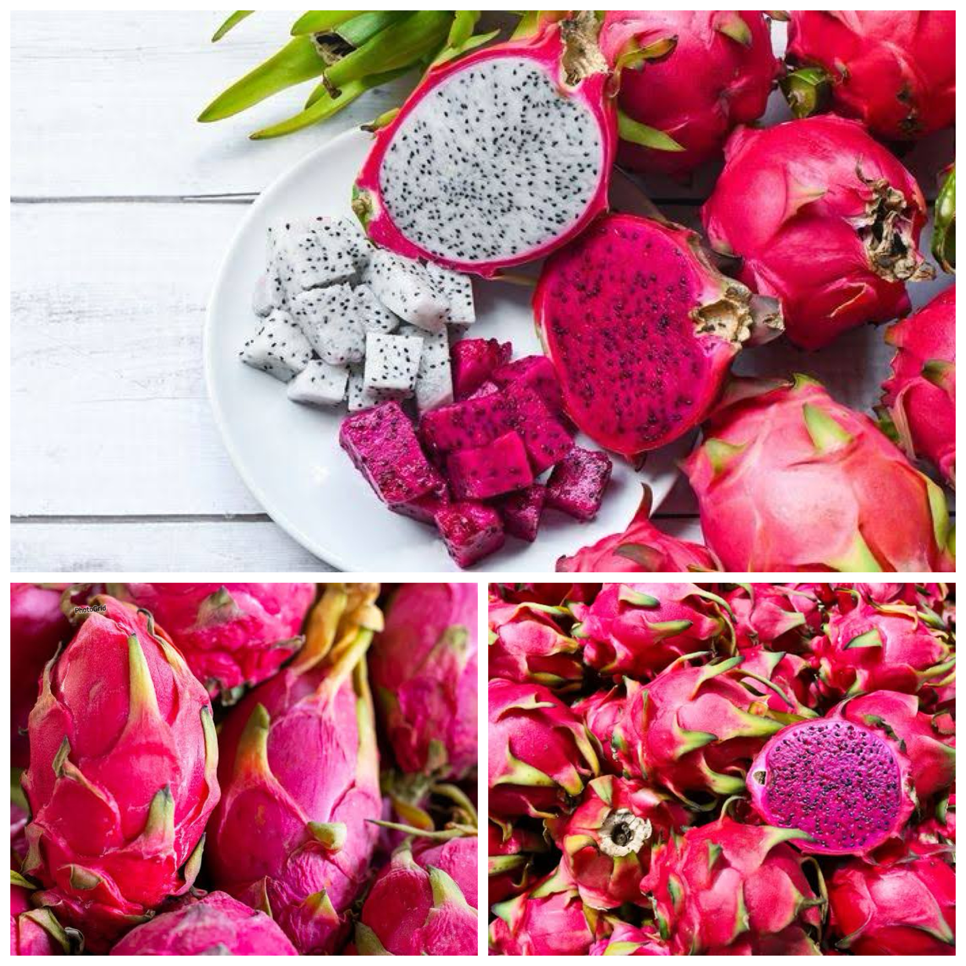 Manfaat Buah Naga untuk Kesehatan: Rahasia Nutrisi di Balik Warnanya yang Eksotis!