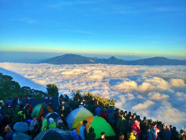 Penting Bagi Pendaki! Inilah 4 Fakta yang Harus Diketahui Sebelum Mendaki Gunung Cikuray