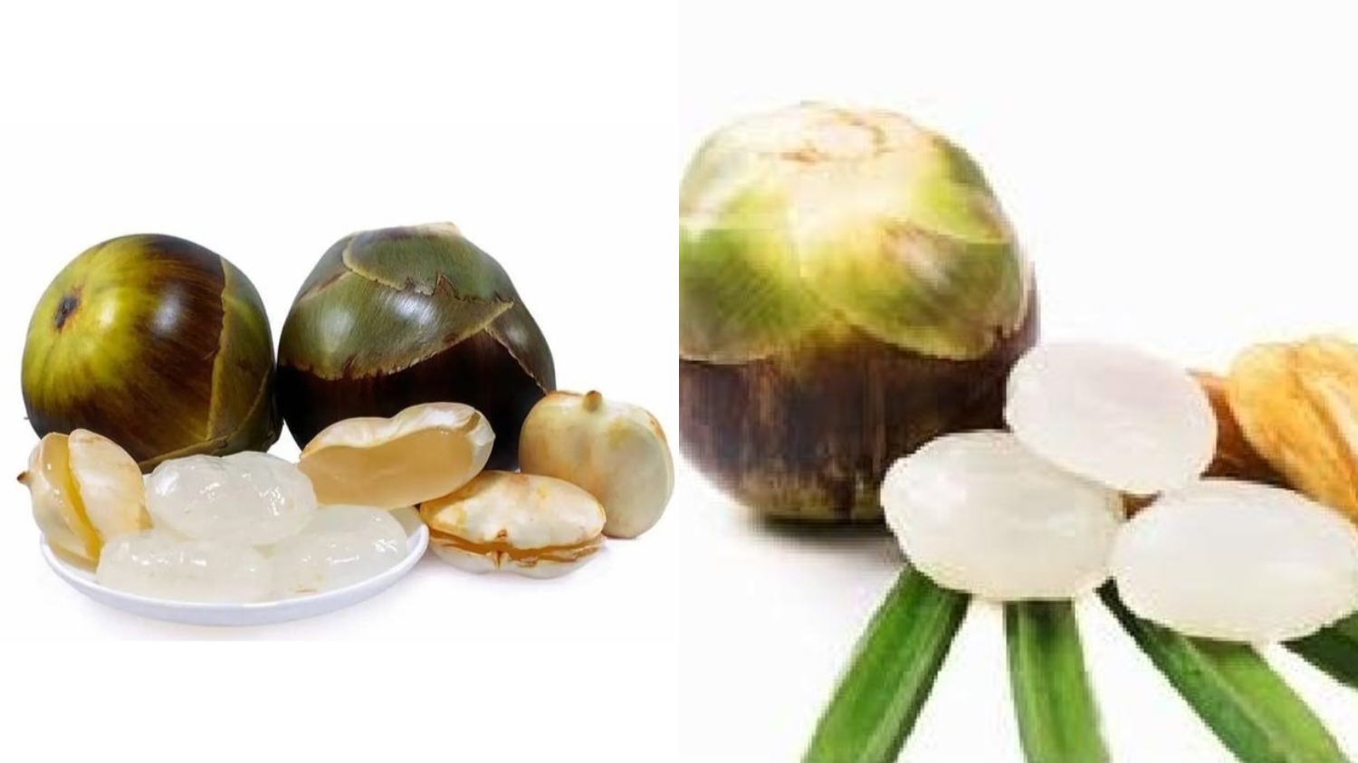 Menyegarkan dan Mencegah Dehidrasi Teryata Ini Guys Manfaat Dari Buah Lontar Yang Jarang Diketahui! 