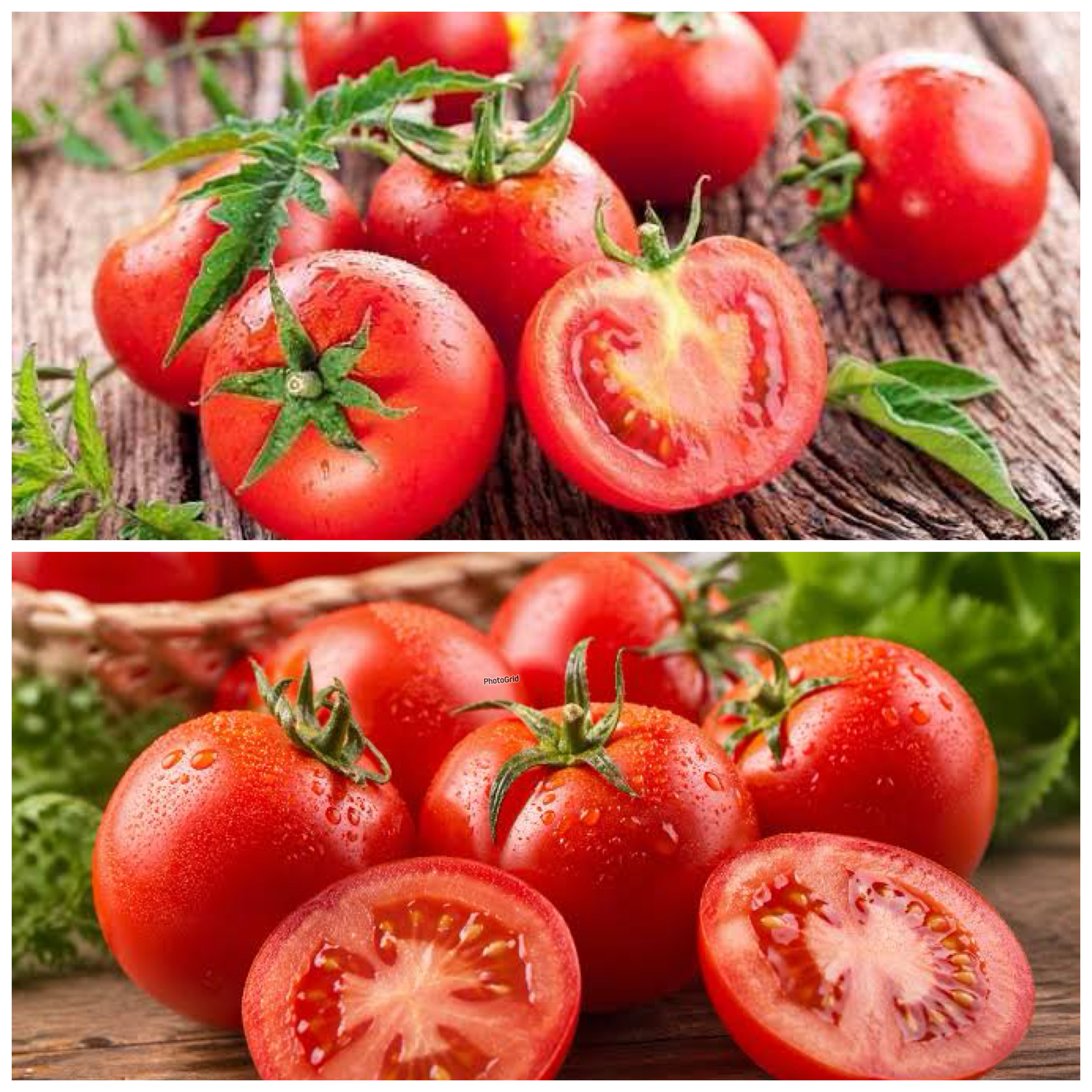 Rahasia Sehat dari Buah Tomat, Si Merah Kaya Nutrisi yang Wajib Dikonsumsi!