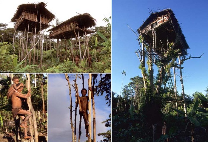 5 Suku Terunik Di Papua, Bahkan Memiliki Rumah Tinggi Puluhan Meter!