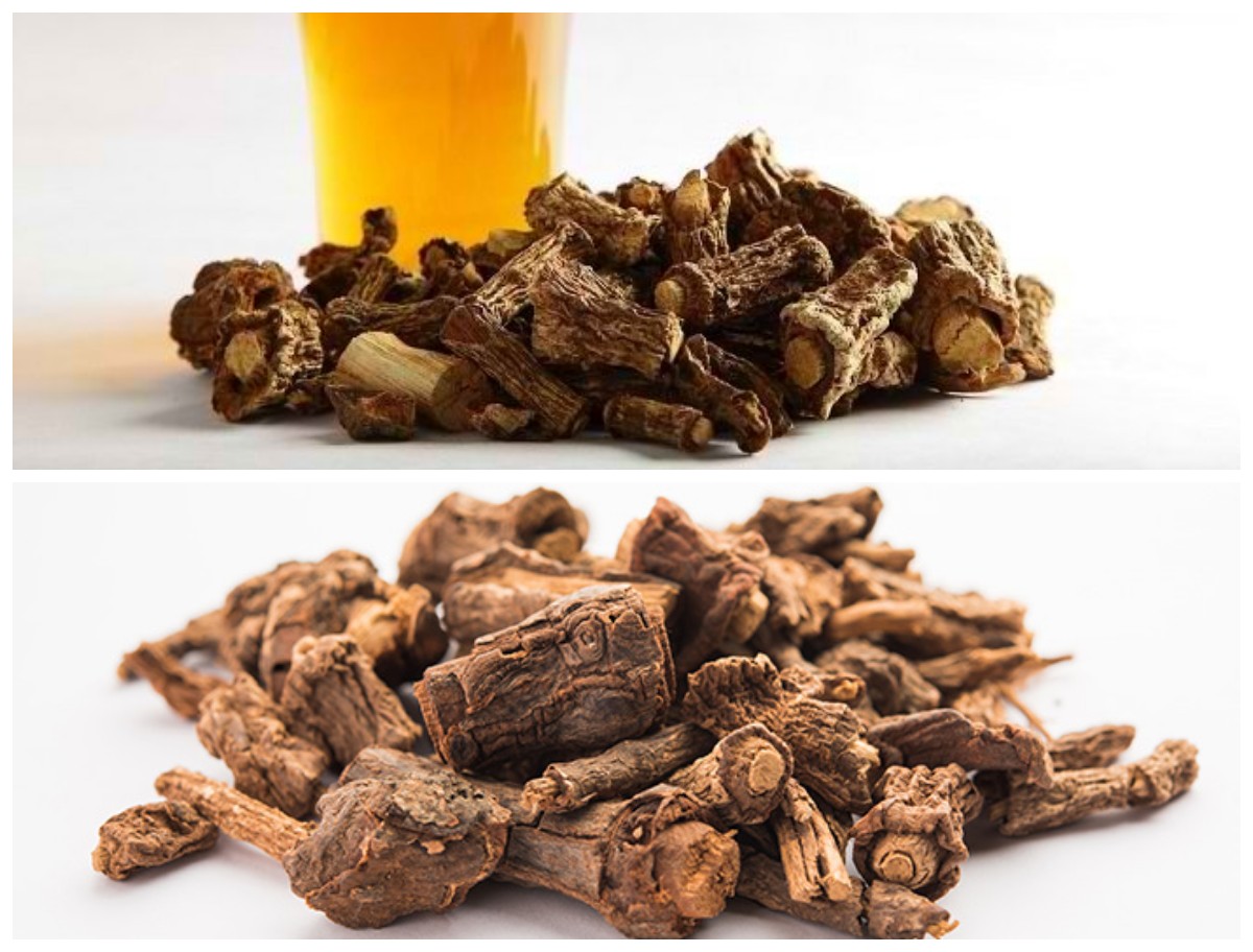 Manfaat Sarsaparilla Tanaman ini Dapat Mencegah atau Bahkan Mengobati berbagai Masalah Kesehatan!