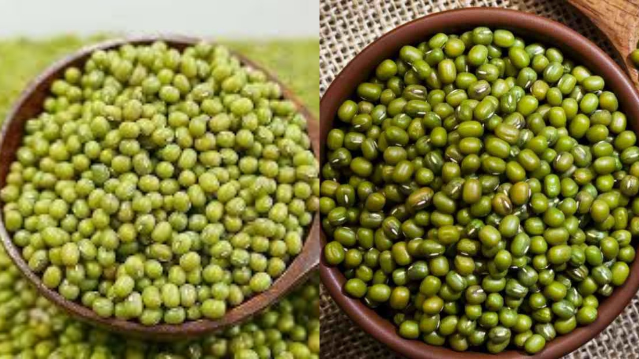 Wajib Tahu! Inilah 5 Khasiat Kacang Hijau Untuk Kesehatan Tubuh Yang Luar Biasa