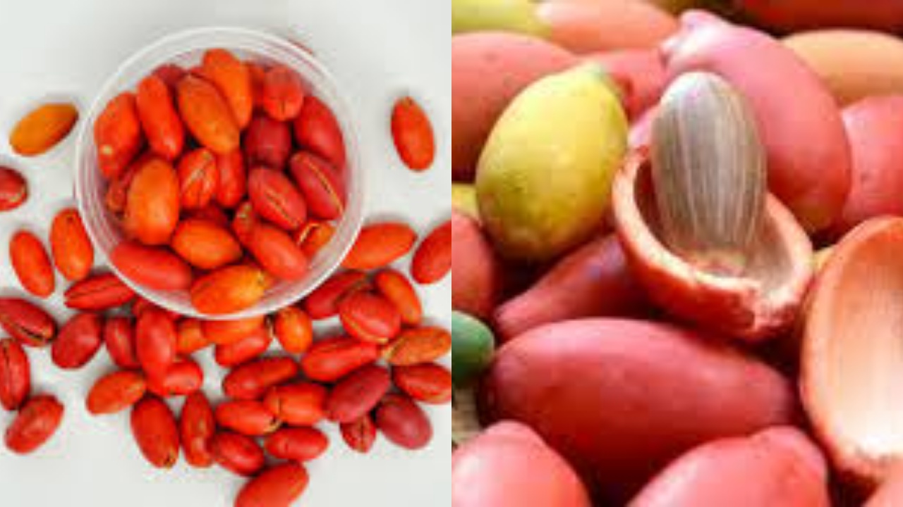 Simak! 10 Manfaat Kulit Melinjo Untuk Kesehatan Yang Jarang Diketahui