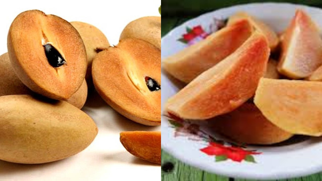 Buah Sawo dan Manfaatnya: Pilihan Sehat untuk Konsumsi Harian!