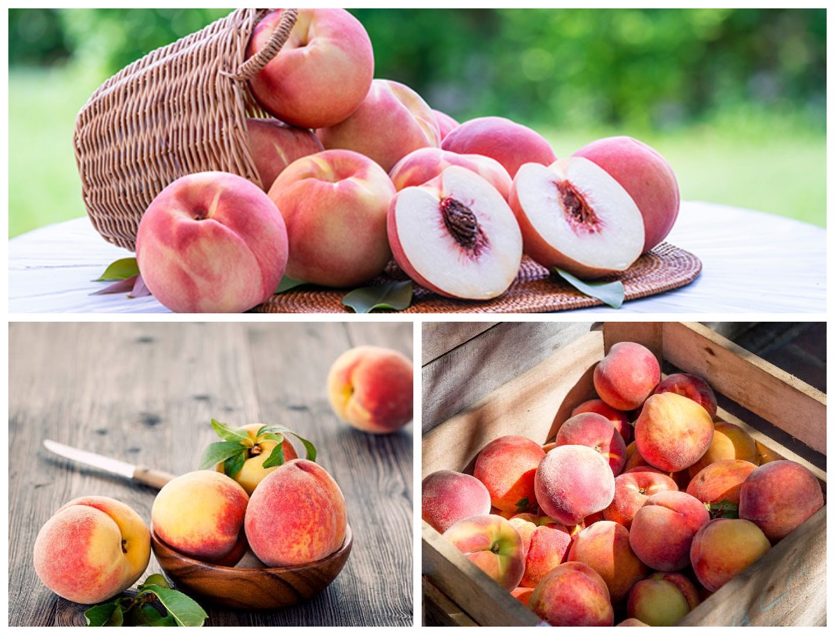 Manfaat Buah Persik bagi Kesehatan: Rahasia Kulit Cantik, Jantung Sehat, dan Tubuh Bugar dari Alam!