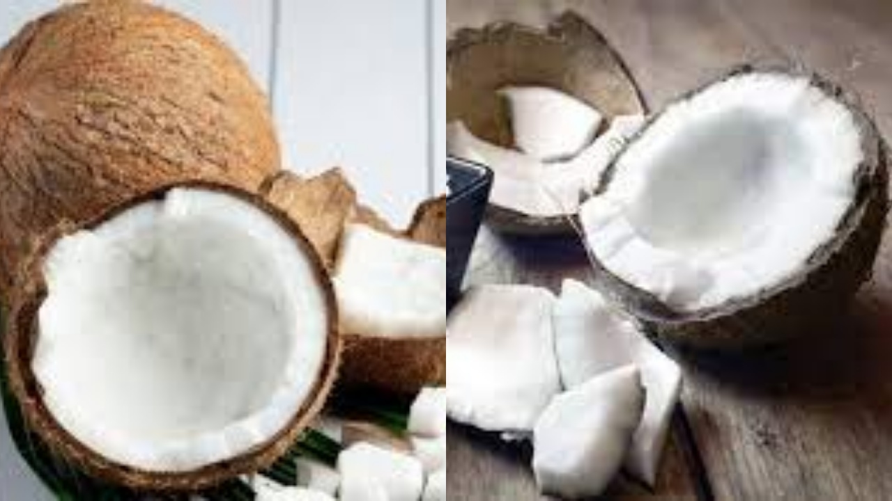 Inilah 8 Manfaat Konsumsi Daging Buah Kelapa untuk Kesehatan!