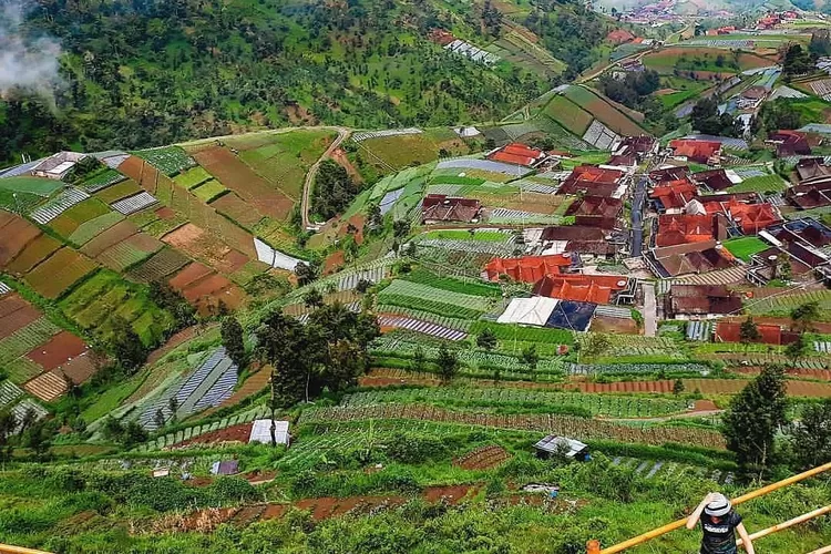 Catat! Inilah Saat Terbaik untuk Melihat Tujuh Gunung dari Oemah Bamboo, Jawa Tengah