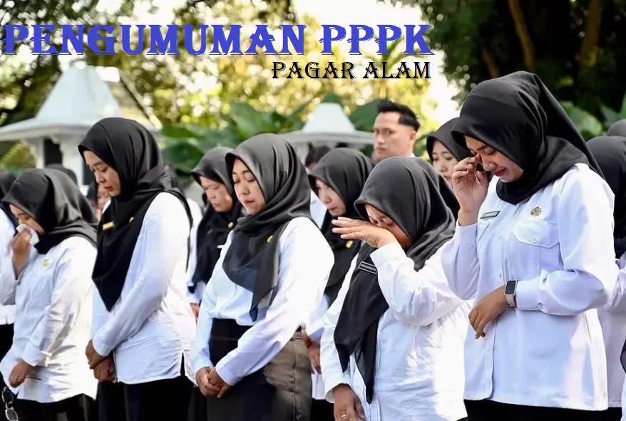 Umumkan Hasil Seleksi PPPK Tahap II, Kenali Kode Syaratnya Apakah Lulus