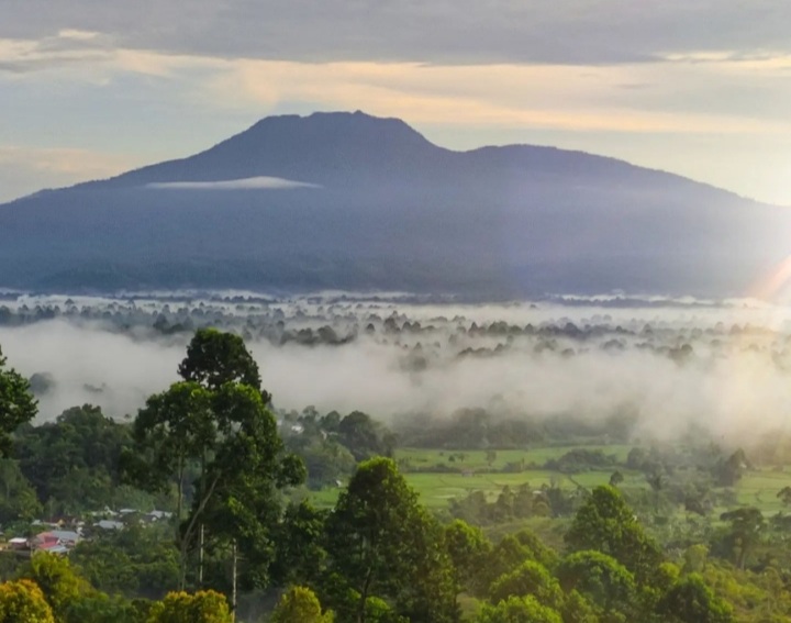 Pesona Gunung Pesagi, Ada Mitologi Putri Kayangan