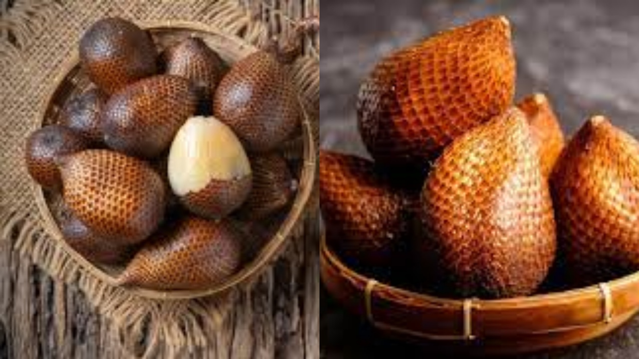 Melancarkan Pencernaan Inilah Manfaat Salak Pondoh Yang Harus Kalian Tahu!