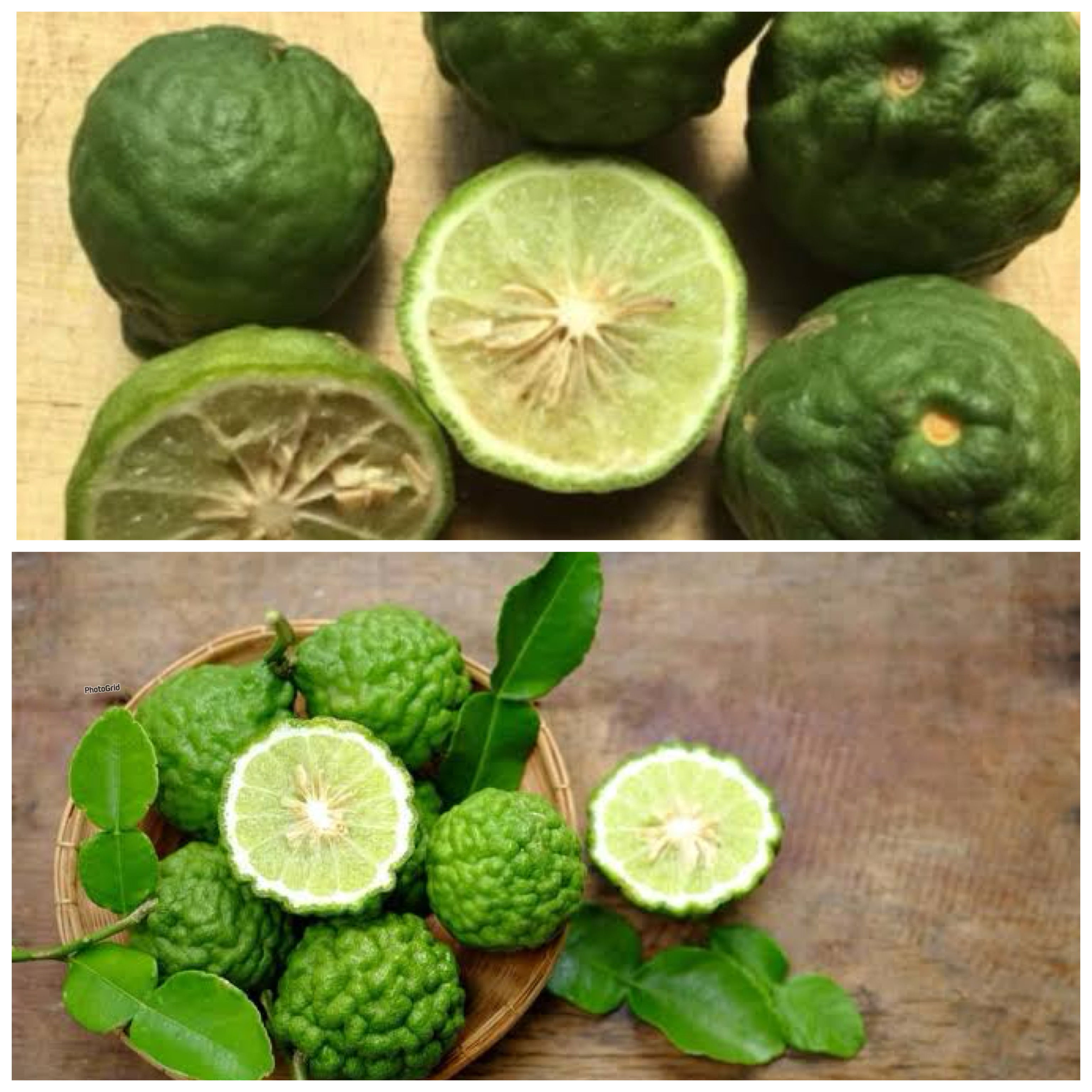 Manfaat Daun Jeruk Purut untuk Kesehatan: Rahasia Alami Penangkal Penyakit dan Penyejuk Pikiran!