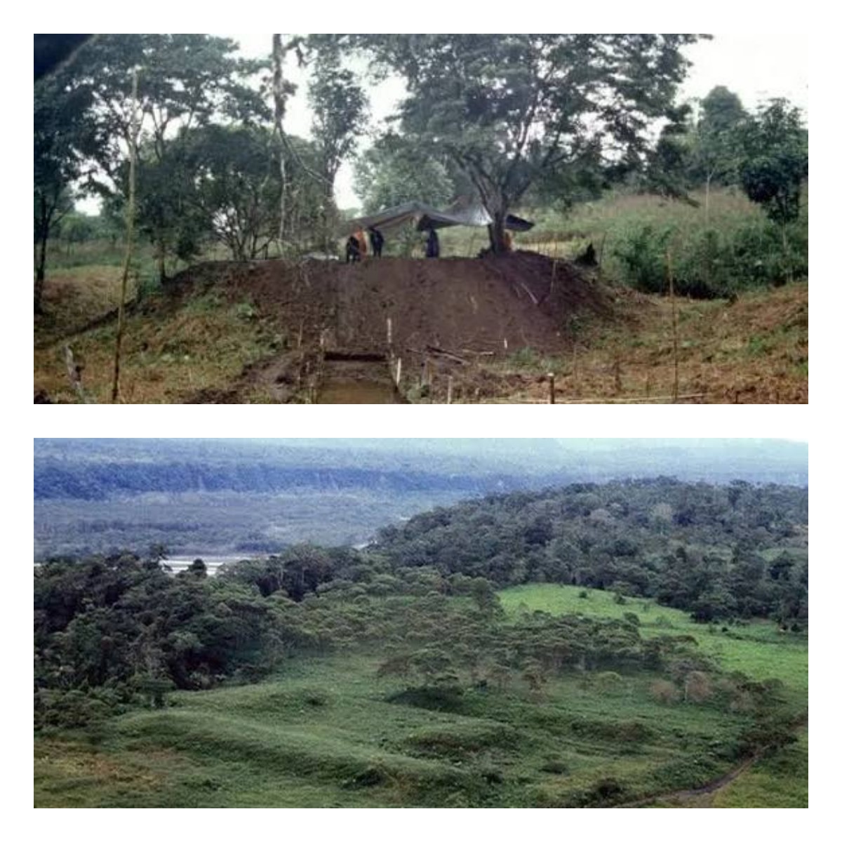 Misteri Jejak Kuno yang Tersembunyi di Balik Hutan Tua Akhirnya Terungkap