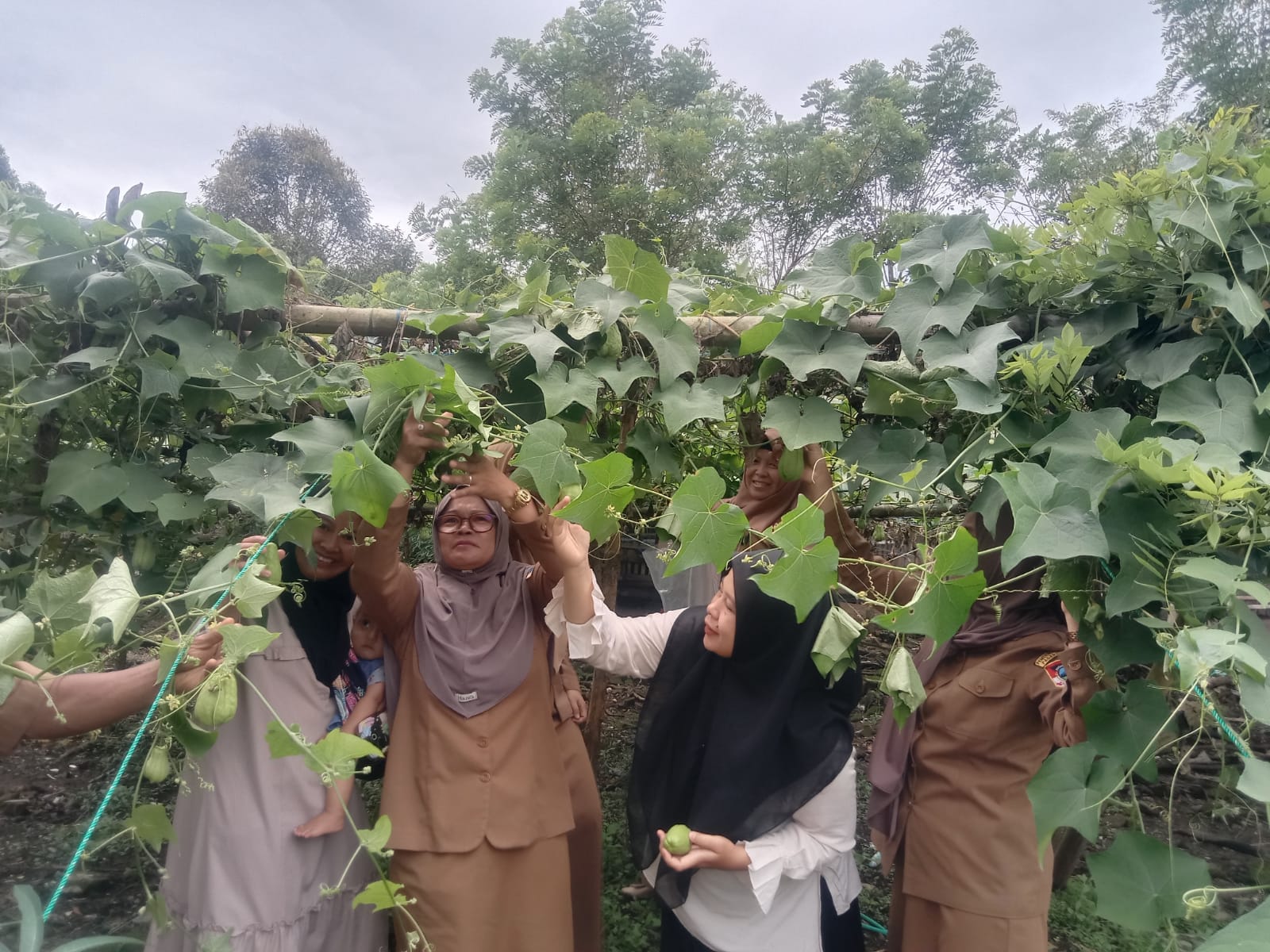 SDN 52 Pagaralam Sulap Lahan Kosong Jadi Kebun Produktif