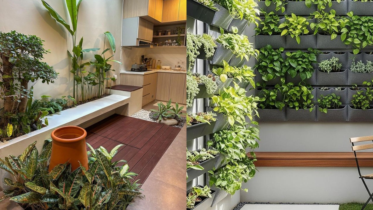 Inspirasi Taman Belakang Rumah Sederhana yang Tetap Terlihat Menawan!