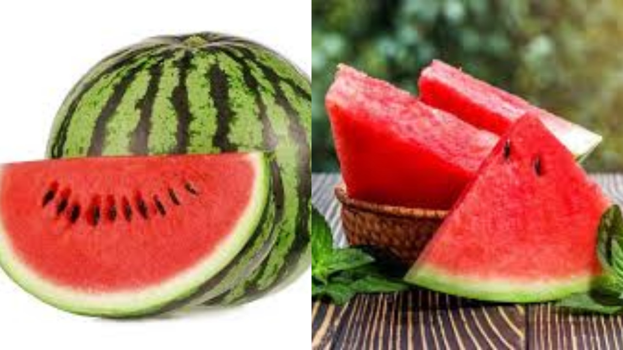 Kaya Nutrisi, Inilah Khasiat Buah Semangka Untuk Kesehatan Tubuh Kamu Harus Tahu! 