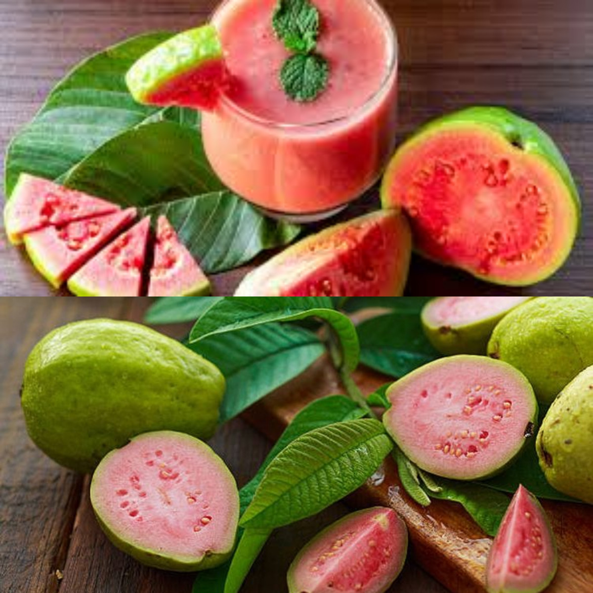 Manfaat Jambu Biji bagi Kesehatan Tubuh!