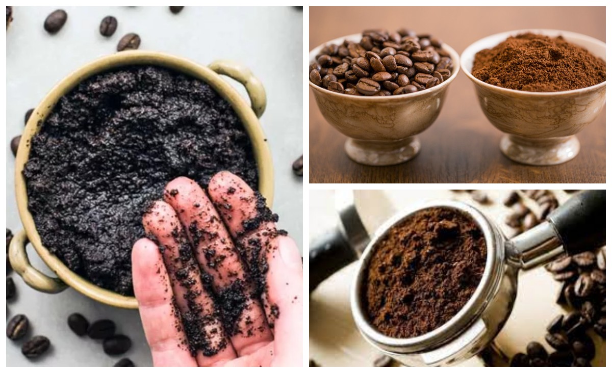 Manfaat Ampas Kopi yang Jarang Diketahui, Solusi Serbaguna untuk Kecantikan dan Kehidupan Sehari-Hari