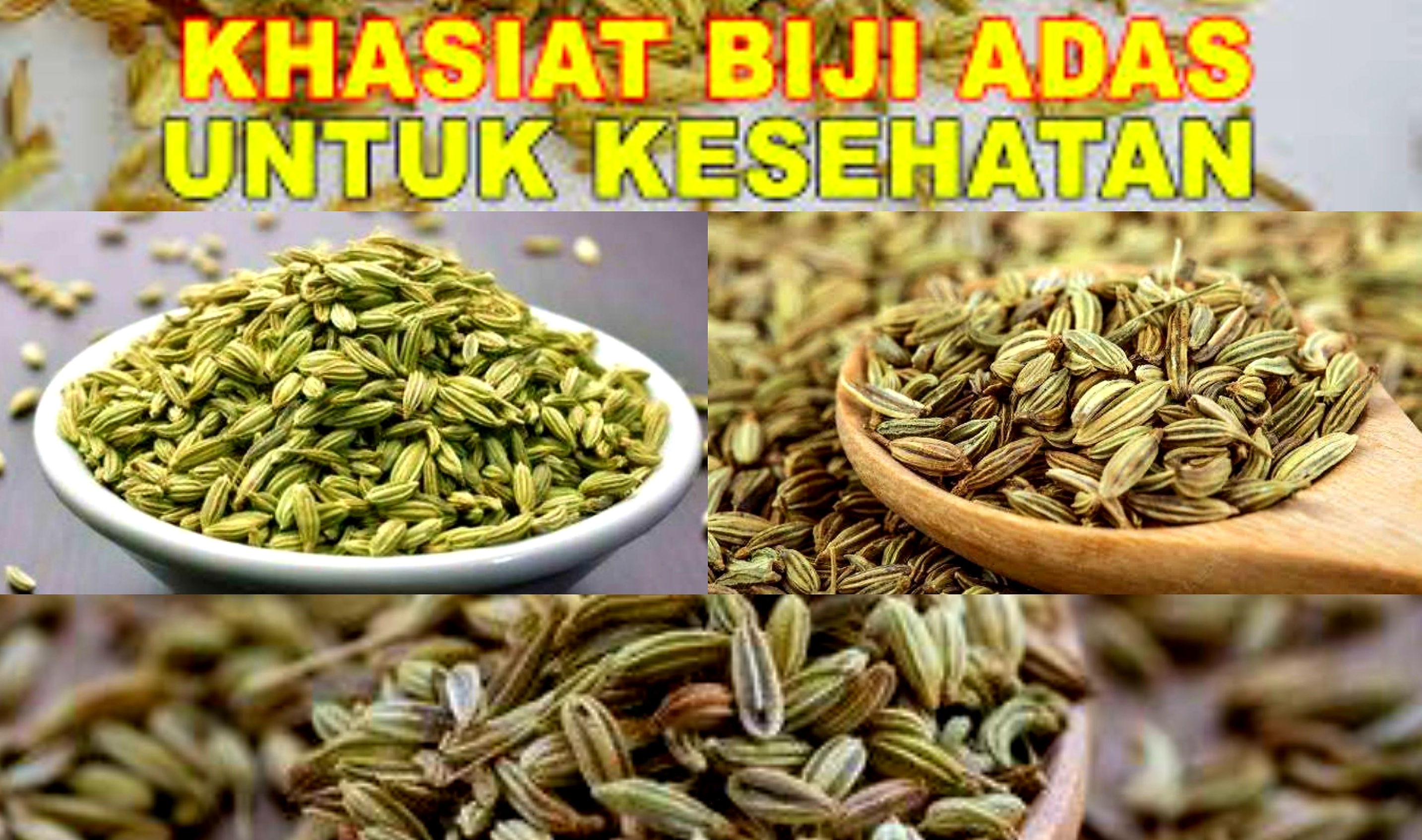 10 Khasiat Luar Biasa dari Biji Adas Untuk Kesehatan