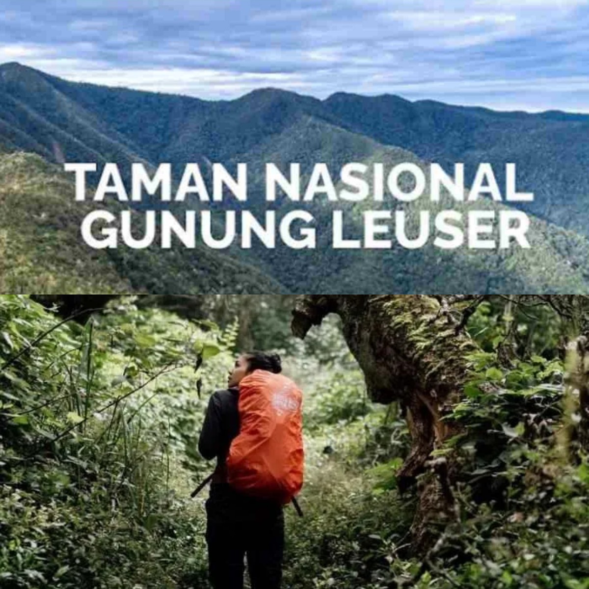 Pendaki Hilang di Gunung Leuser? Ini Kisah Mistisnya!