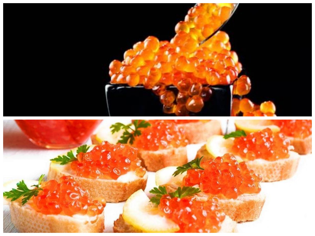 Telur Ikan: Superfood Laut yang Menyimpan Segudang Manfaat untuk Kesehatan