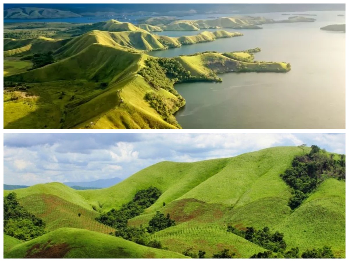 Sejarah Bukit Teletubbies: Dari Padang Rumput Alami hingga Ikon Wisata Populer Indonesia!