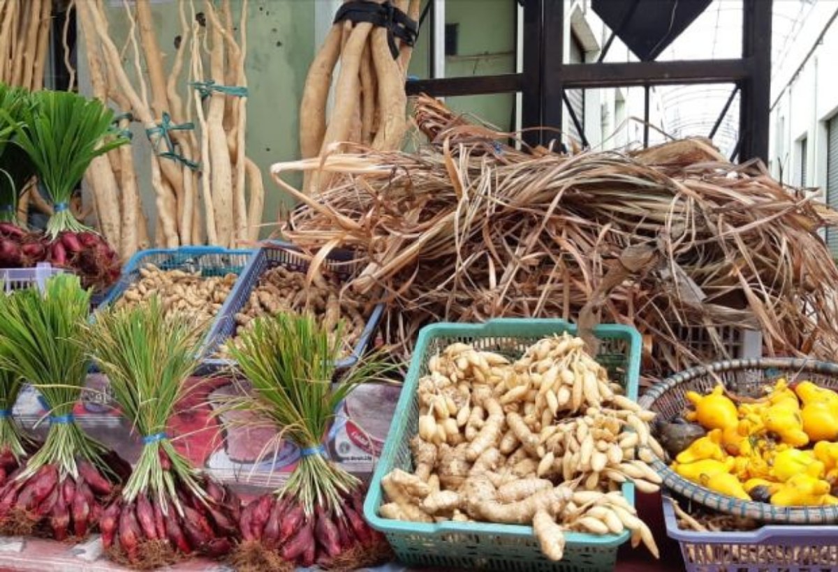 Bagaimana Pengobatan Tradisional Suku Ngaju Menyembuhkan Berbagai Penyakit? Ini Penjelasannya!